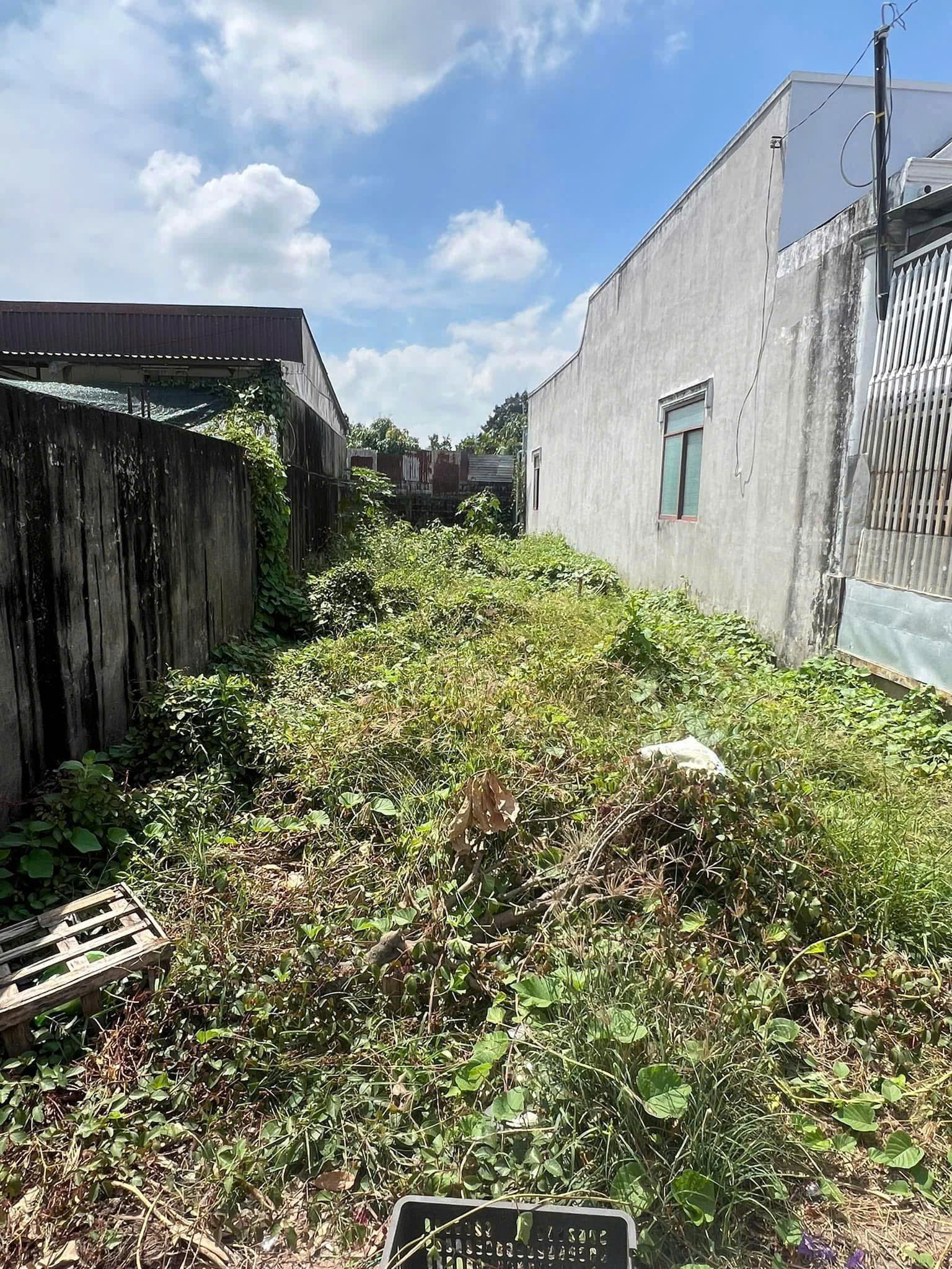 z6600257552730_217a7f0df981d13fb6515ed2a581da44